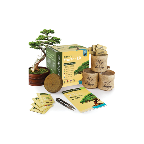 Bonsai Starter Kit